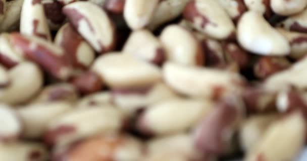 Чаша Бразильских Орехов Здоровое Полезное Питание — стоковое видео