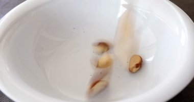 Brezilya fıstığı kase. Yararlı ve sağlıklı gıda