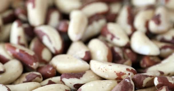 Bowl Nueces Brasil Alimentos Saludables Beneficiosos — Vídeo de stock