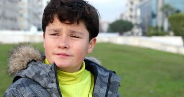 미소와 시간에 공원에서 카메라에서 포즈를 취하는 행복한 소년의 초상화 — 비디오