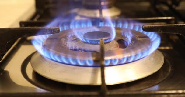 Пламя Газовой Плиты — стоковое видео
