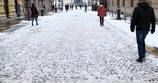 Budapeşte Macaristan Ocak 2019 Stefan Bazilikası Nın Dış Görünümü — Stok video
