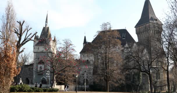 Budapest Hungary January 2019 Ancient Vajdahunyad Castle Also Known Dracula — Stock Video