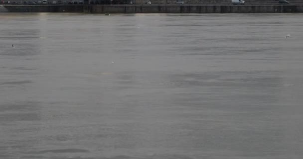 Margaret Bridge on Danube River in Budapest — Stock videók