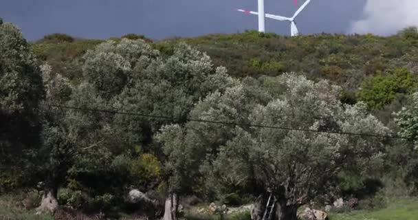 Windräder Zur Erzeugung Sauberen Stroms — Stockvideo