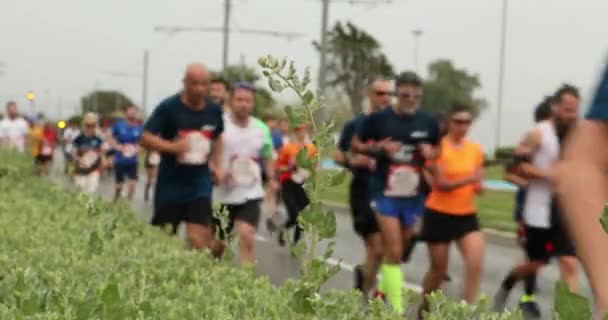 Mayıs 2019 Izmr Türkiye Maratoncuları Şehir Yolunda Koşuyor — Stok video