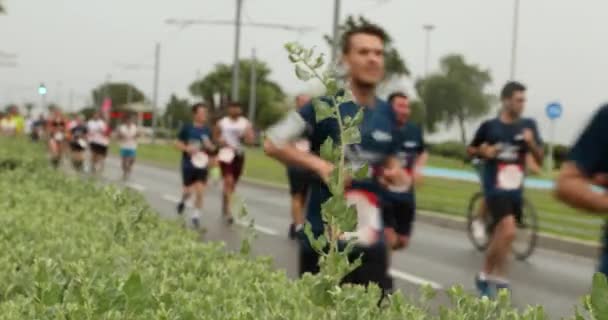 Mayıs 2019 Izmr Türkiye Maratoncuları Şehir Yolunda Koşuyor — Stok video