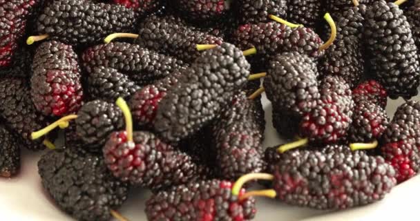 Black mulberries heap in dish — Stock Footage Black Mulberries Heap Dish Stock Footage