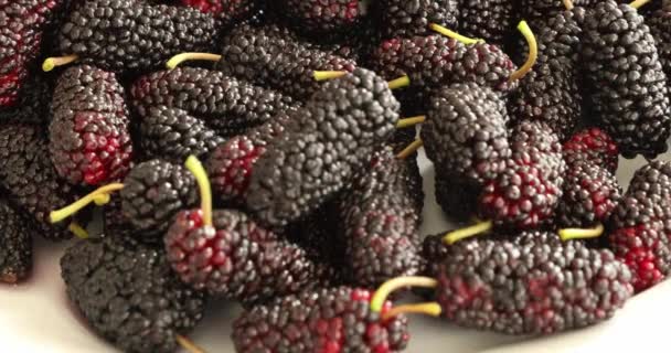 Mulberries Pretas Amontoam Prato — Vídeo de Stock