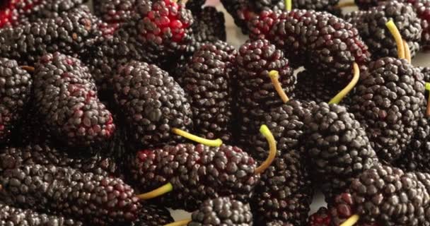 Mulberries Pretas Amontoam Prato — Vídeo de Stock