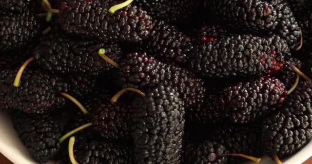 Black Mulberries Heap Dish — Stock Video