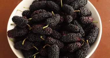 Çanak siyah dut yığınları