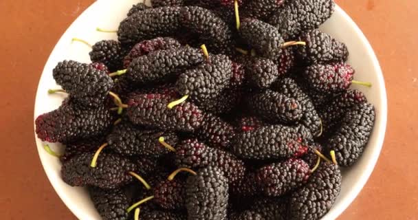 Black mulberries heap in dish — Stock Footage Black Mulberries Heap Dish Stock Video