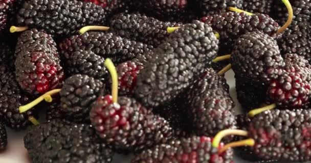 Mulberries Pretas Amontoam Prato — Vídeo de Stock