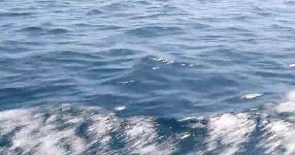 Boat wake on the blue ocean sea 3 — Stock Video