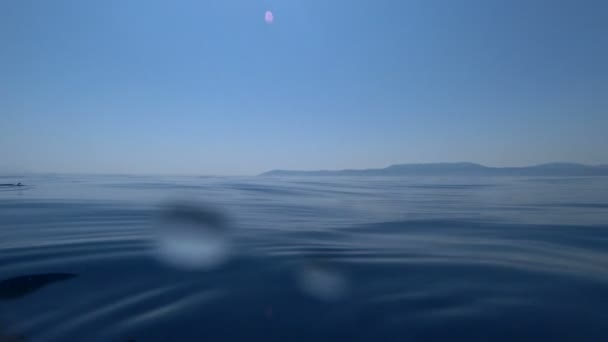 夏休み8で深い青い海で楽しむ子供 — ストック動画