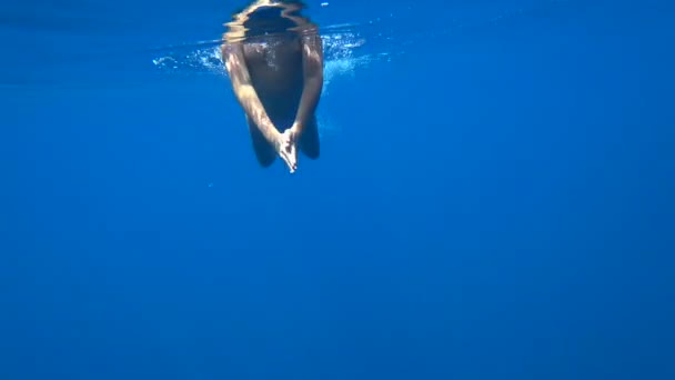 Portrait of a teenager underwater 2 — Stock Video