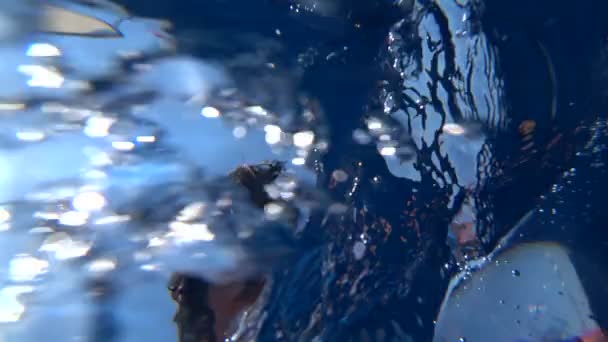 Young boy floating on an air mattress at summer vacation 5 — Stock Video