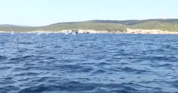 Вид парусников Оптимист учится плавать в Средиземноморье 2 — стоковое видео