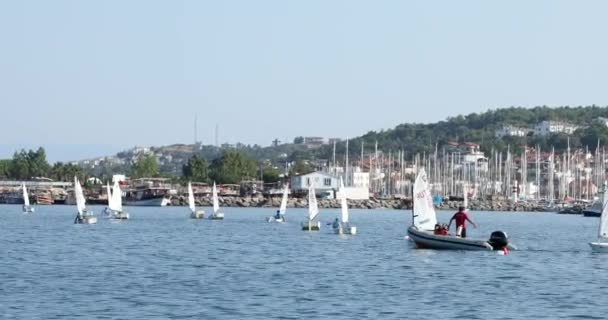 A view of sailboats Optimist learning to sail in Mediterranean 9 — Stock Video