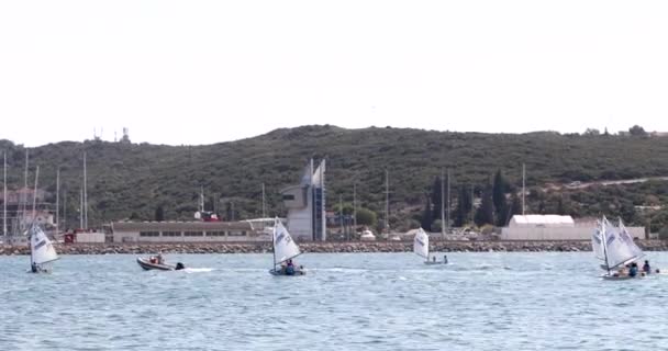 A view of sailboats optimists sail training 2 — Stock Video