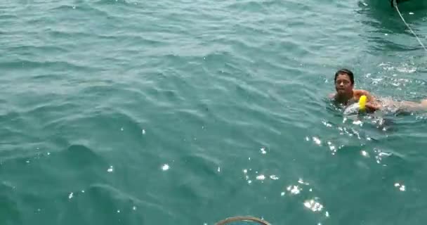 Niño recogiendo botellas de plástico en el mar — Vídeo de stock