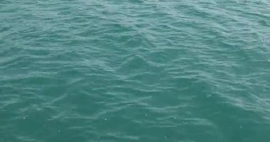 Kürek içine atılmış denizde plastik şişe atık toplama 5