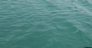 Kürek içine atılmış denizde plastik şişe atık toplama 6