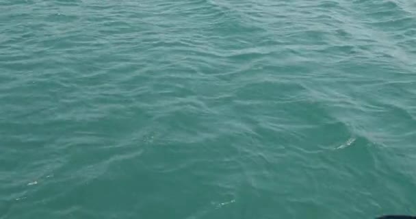 Recogida de residuos de botellas de plástico en el mar para verter en la pala 6 — Vídeos de Stock