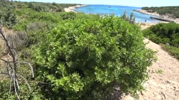 Wunderschöne mediterrane Bucht zur Sommerzeit — Stockvideo