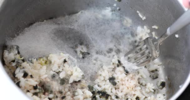 Rotte Rijst Met Witte Schimmel Buiten Pot — Stockvideo