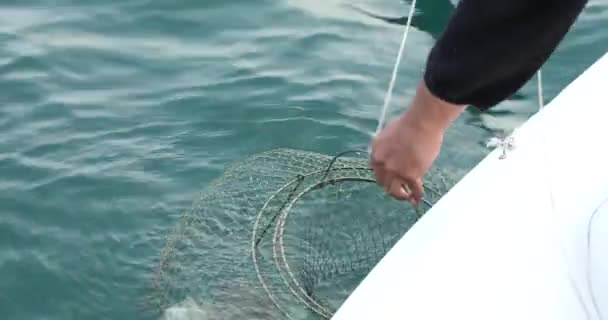 Pulpo Grande Una Trampa Mar Bote Pesca Tirando — Vídeos de Stock