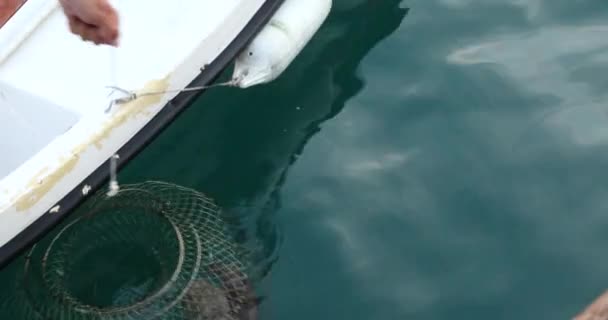 Μεγάλο Χταπόδι Μια Παγίδα Στη Θάλασσα Ένα Τραβώντας Αλιευτικό Σκάφος — Αρχείο Βίντεο