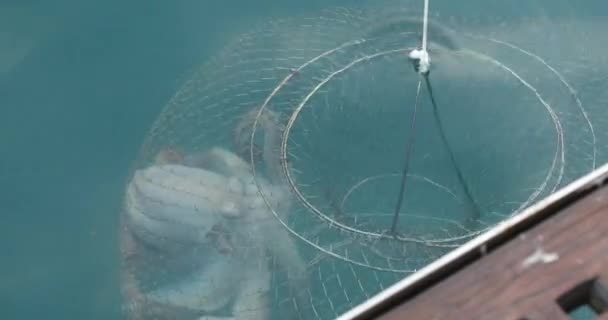 Polvo Grande Uma Armadilha Mar Barco Pesca Puxando — Vídeo de Stock