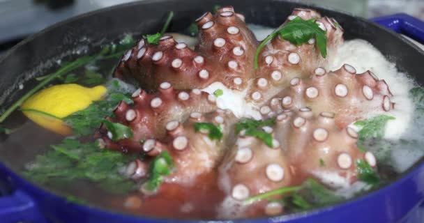 Big Octopus Cooking Pot Lemon Parsley — Stock Video