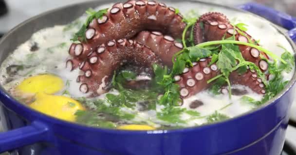 Pulpo Grande Cociendo Olla Con Limón Perejil — Vídeos de Stock