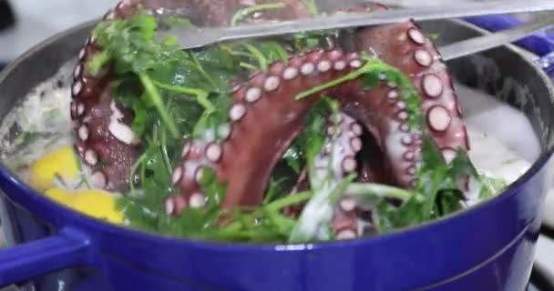 Pulpo Grande Cociendo Olla Con Limón Perejil — Vídeo de stock