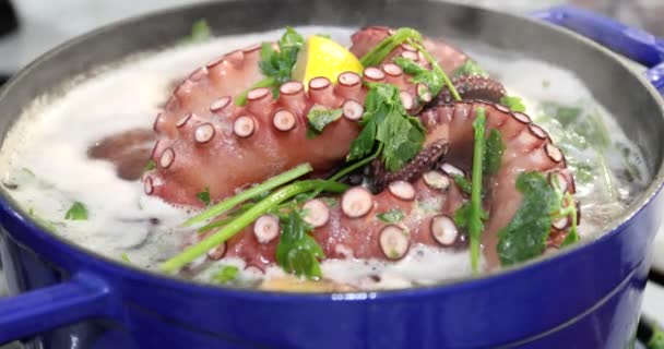 大章鱼用柠檬和欧芹煮锅 — 图库视频影像