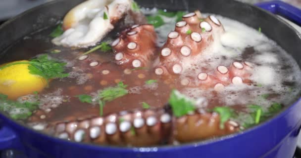 Big Octopus Cooking Pot Lemon Parsley — Stock Video