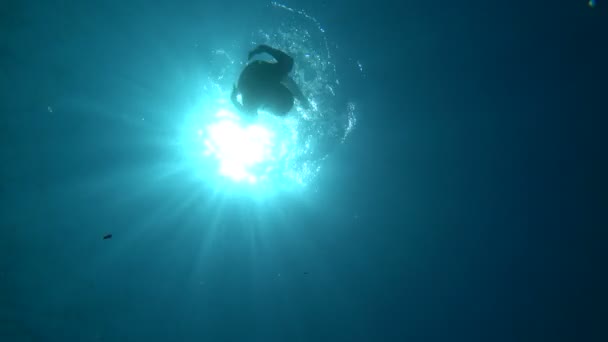 Retrato Submarino Niño Disfrutando Las Vacaciones Verano — Vídeos de Stock