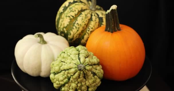 Diferentes Tipos Calabazas Coloridas Girando — Vídeos de Stock