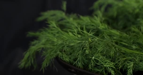 Fresh Dill Branches Rotating Black Background — Stock Video