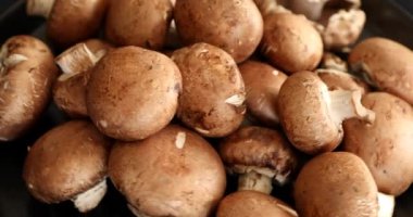 Taze Ham Kraliyet Şampiyonu Mantarlar Siyah arkaplanda Dönüyor