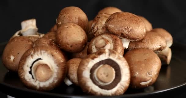 Champignons Royaux Bruts Frais Tournant Sur Fond Noir — Video