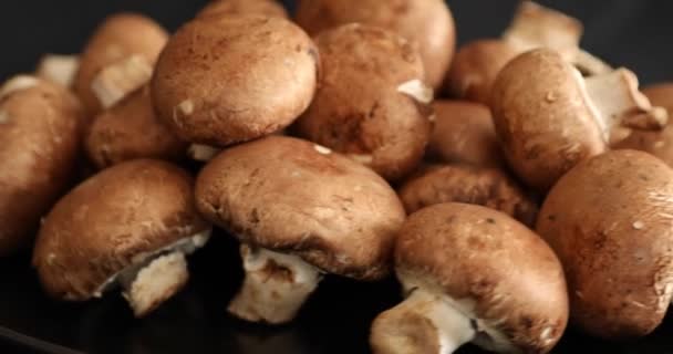 Cogumelos Royal Champignon Frescos Crus Girando Sobre Fundo Preto — Vídeo de Stock