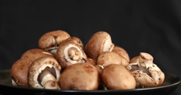 Funghi Freschi Raw Royal Champignon Rotanti Sfondo Nero — Video Stock