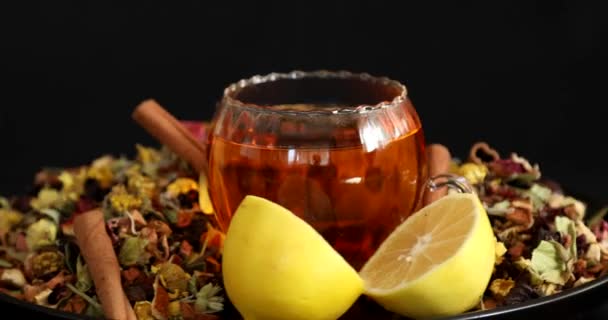 Taza Saludable Con Diferentes Tipos Hierbas Secas Flores — Vídeos de Stock