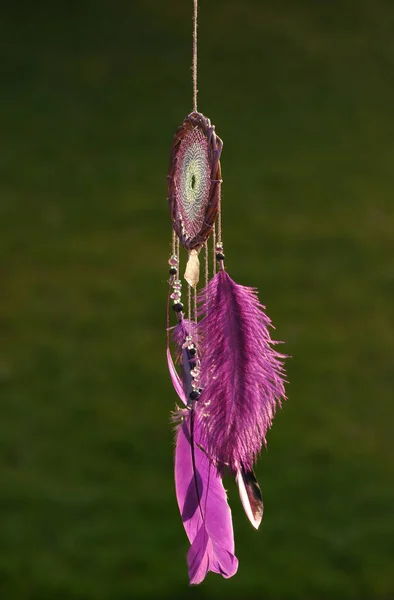 Closeup modern dreamcatcher with purple feathers outdoors