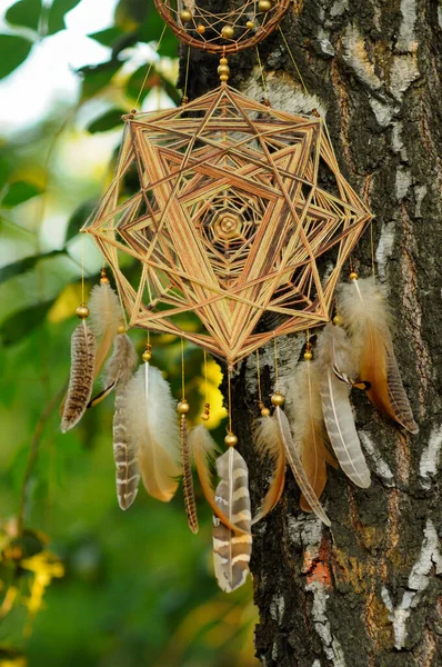 Mandala Dorata Fatta Mano Acchiappasogni Con Piume Nel Parco All — Foto Stock