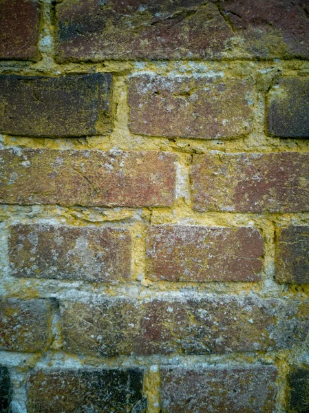 Brick Wall Made Old Weathered Red Bricks Yellow Mold — Stock Photo, Image